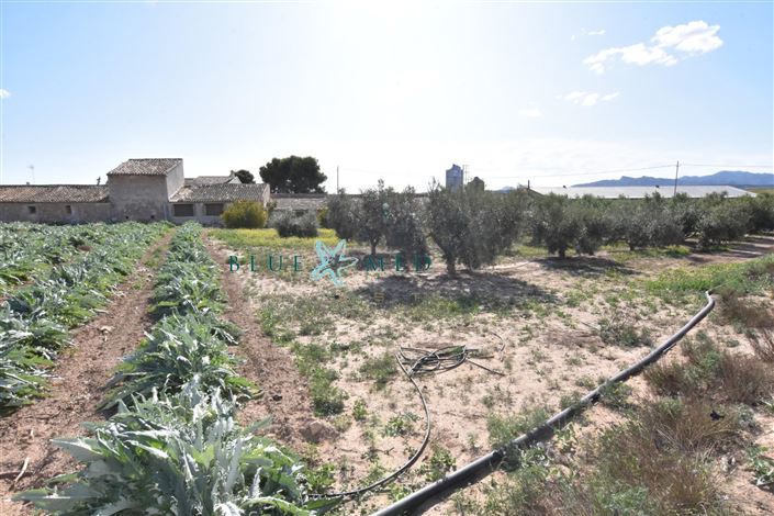 Image No.18-Maison de campagne de 8 chambres à vendre à Mazarron