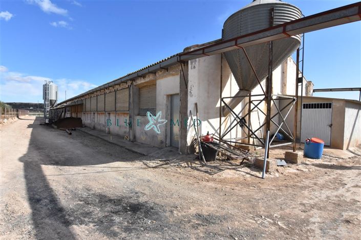 Image No.21-Maison de campagne de 8 chambres à vendre à Mazarron