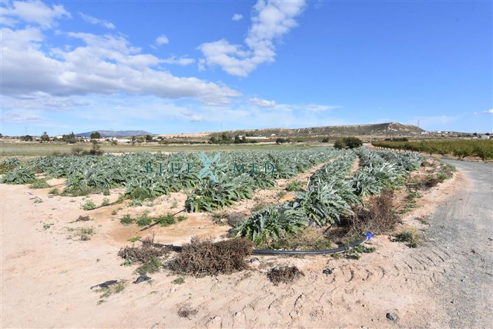 Image No.22-Maison de campagne de 8 chambres à vendre à Mazarron