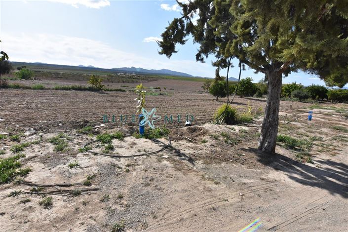 Image No.27-Maison de campagne de 8 chambres à vendre à Mazarron