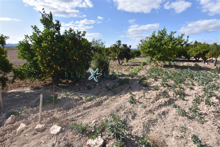 Image No.28-Maison de campagne de 8 chambres à vendre à Mazarron