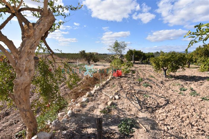 Image No.29-Maison de campagne de 8 chambres à vendre à Mazarron