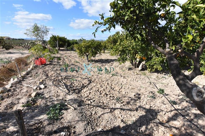 Image No.30-Maison de campagne de 8 chambres à vendre à Mazarron