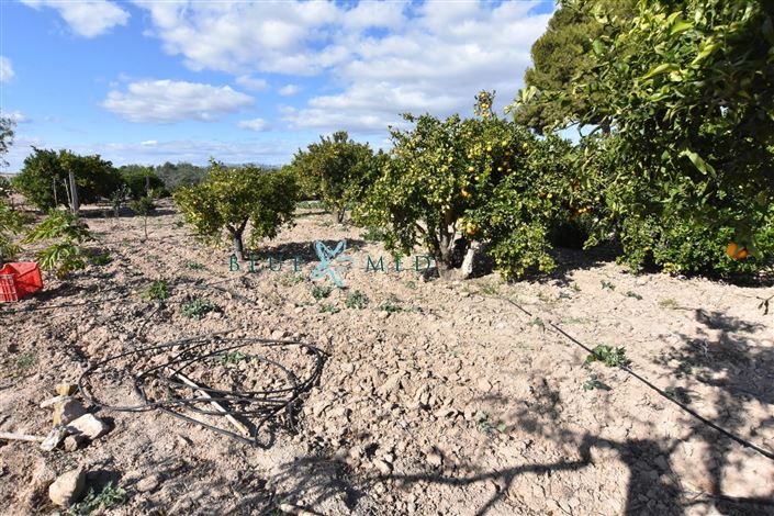 Image No.31-Maison de campagne de 8 chambres à vendre à Mazarron