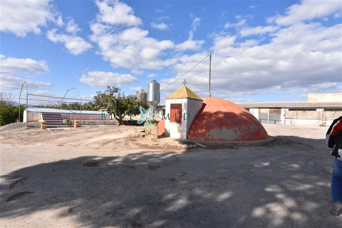 Image No.32-Maison de campagne de 8 chambres à vendre à Mazarron