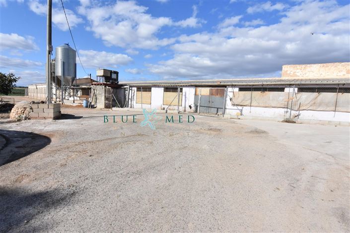 Image No.36-Maison de campagne de 8 chambres à vendre à Mazarron