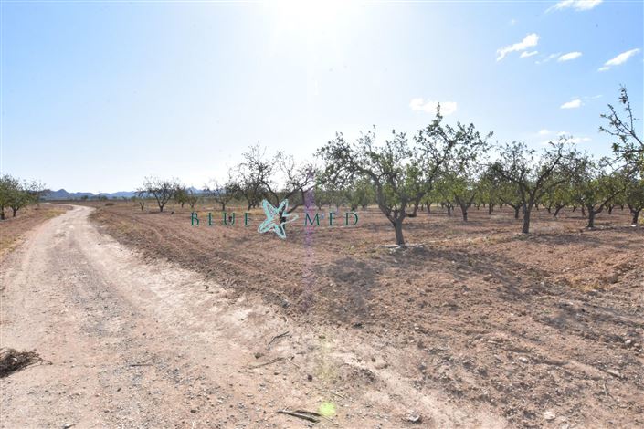 Image No.6-Maison de campagne de 8 chambres à vendre à Mazarron