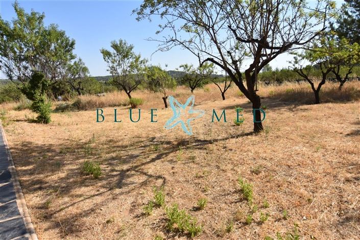 Image No.10-Villa de 2 chambres à vendre à Bullas