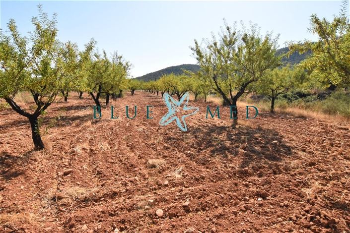 Image No.47-Villa de 2 chambres à vendre à Bullas