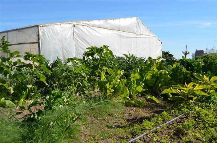 Image No.20-4 Bed Villa for sale