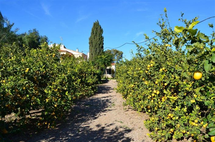 Image No.21-4 Bed Villa for sale