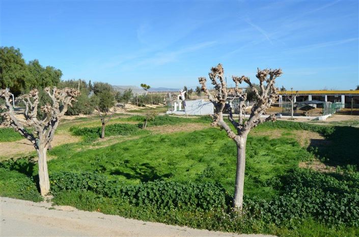 Image No.35-4 Bed Villa for sale