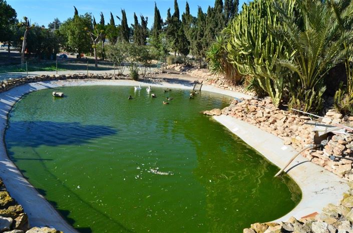 Image No.41-4 Bed Villa for sale