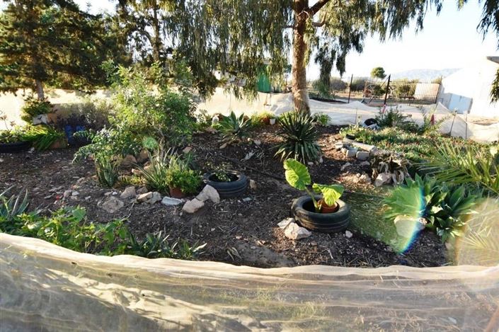 Image No.25-Maison de campagne de 6 chambres à vendre à Las Palas