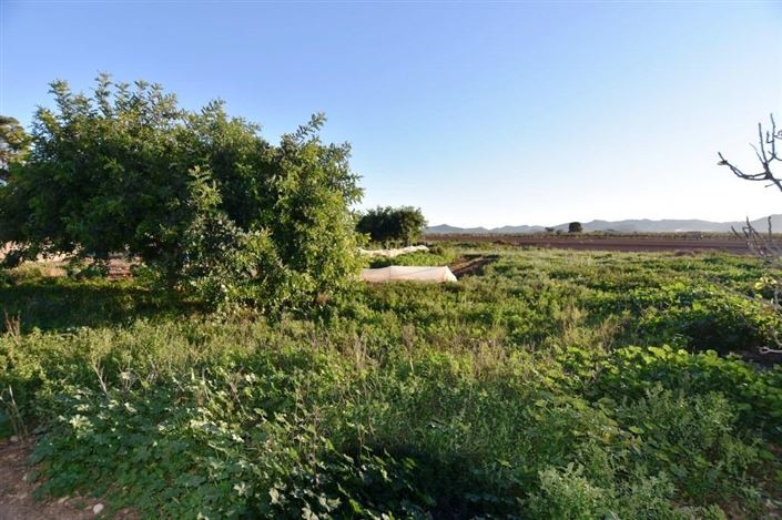 Image No.32-Maison de campagne de 6 chambres à vendre à Las Palas