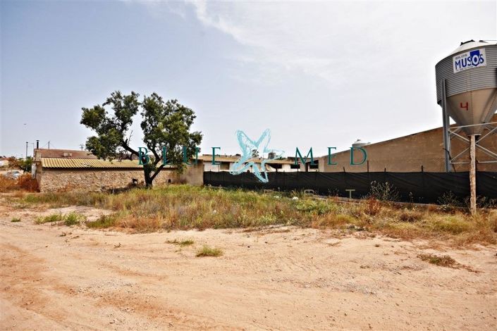 Image No.11-Maison de 3 chambres à vendre à Pareton