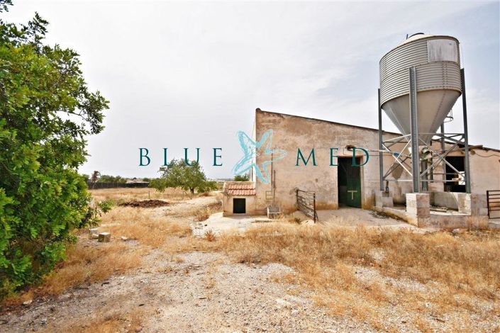 Image No.16-Maison de 3 chambres à vendre à Pareton