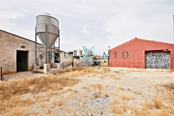 Image No.17-Maison de 3 chambres à vendre à Pareton