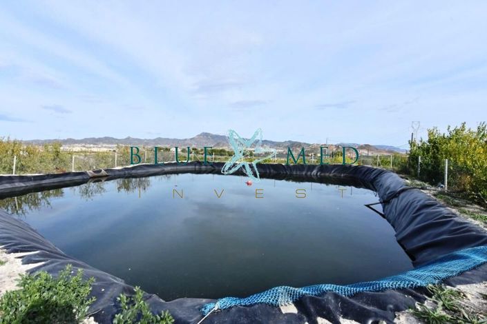 Image No.31-Maison de campagne de 4 chambres à vendre à Leiva