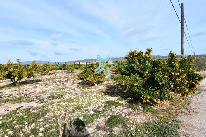 Image No.5-Maison de campagne de 4 chambres à vendre à Leiva