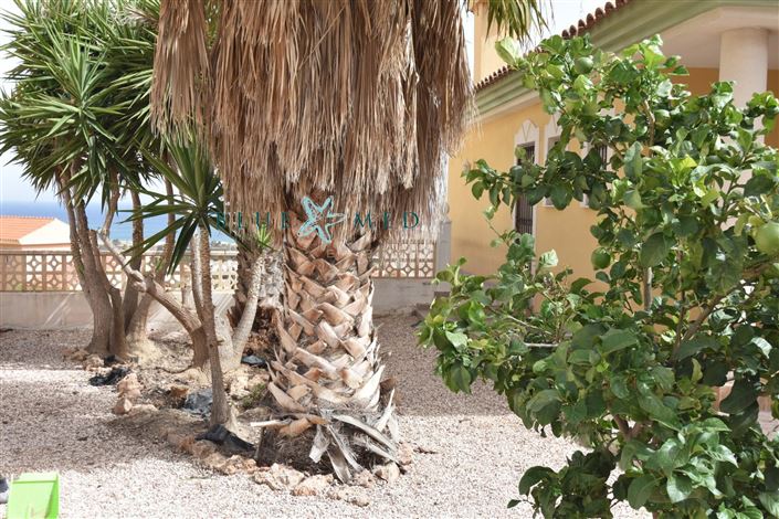 Image No.2-3 Bed Villa for sale