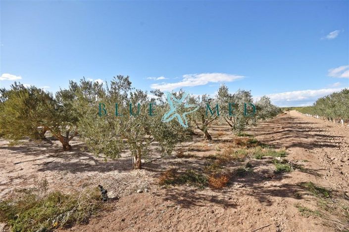 Image No.22-Maison de campagne de 2 chambres à vendre à Alhama de Murcia