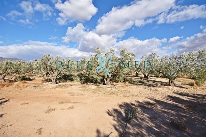 Image No.23-Maison de campagne de 2 chambres à vendre à Alhama de Murcia