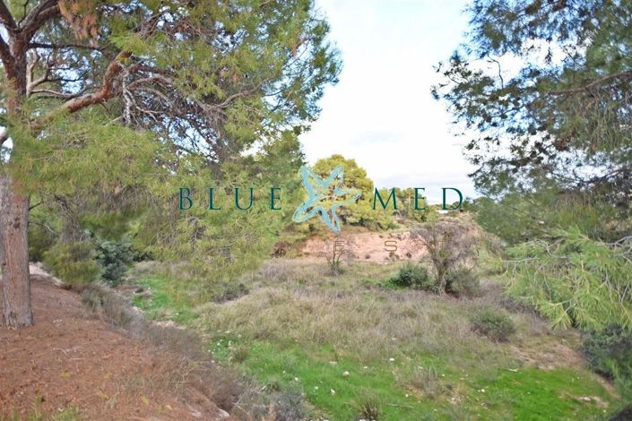 Image No.3-Propriété à vendre à Totana