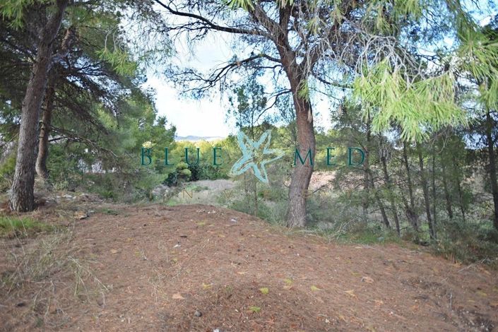 Image No.5-Propriété à vendre à Totana