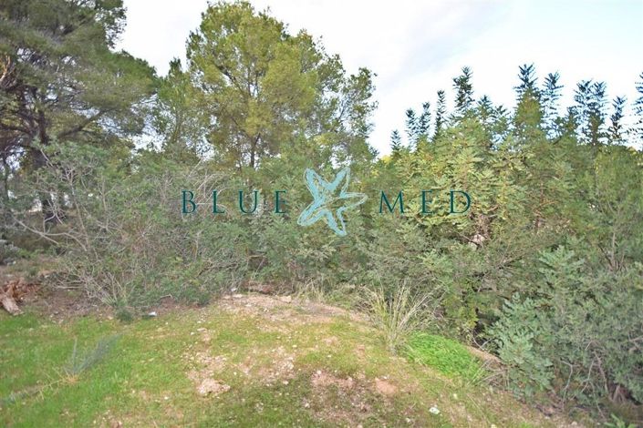 Image No.6-Propriété à vendre à Totana