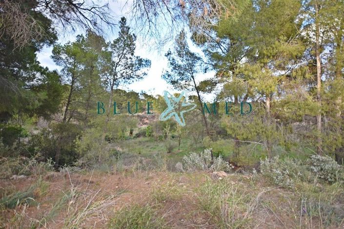 Image No.7-Propriété à vendre à Totana