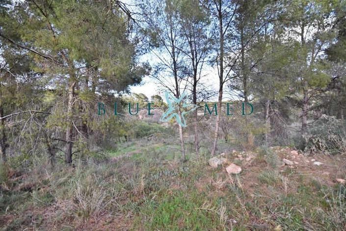 Image No.8-Propriété à vendre à Totana