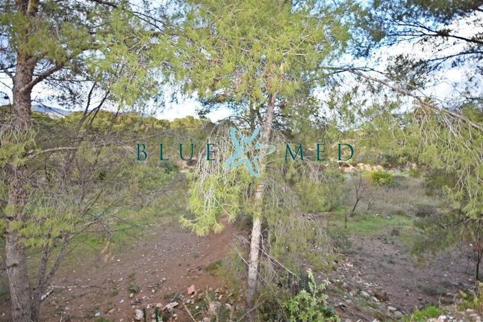 Image No.9-Propriété à vendre à Totana