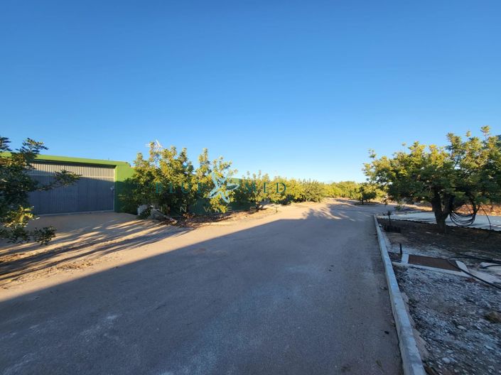 Image No.40-Maison de campagne de 43 chambres à vendre à La Magdalena