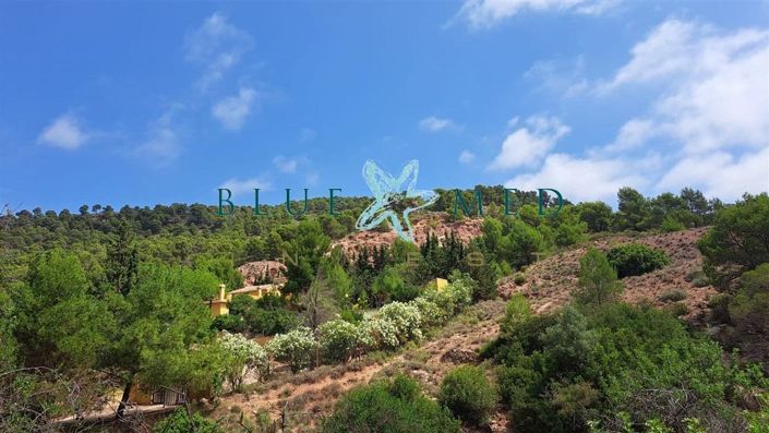 Image No.17-Maison de campagne de 5 chambres à vendre à Alhama de Murcia