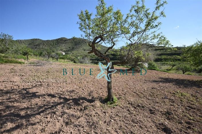 Image No.21-Propriété à vendre à Cartagena