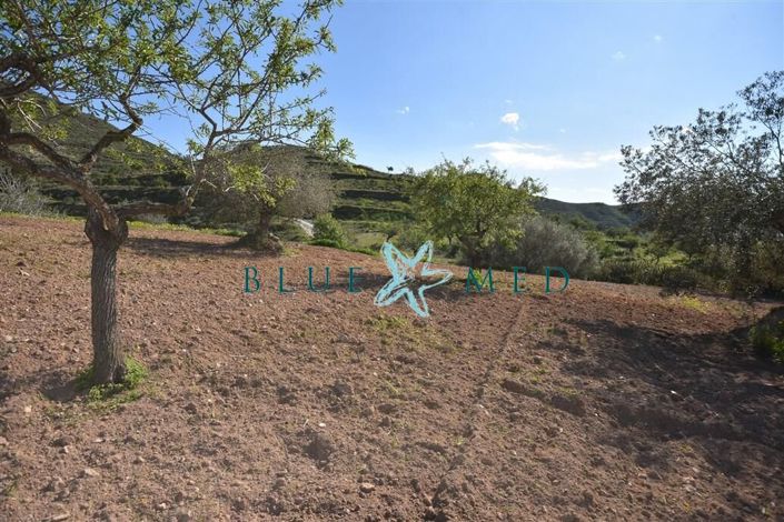 Image No.22-Propriété à vendre à Cartagena