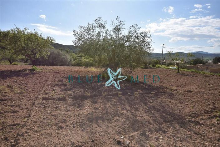 Image No.23-Propriété à vendre à Cartagena