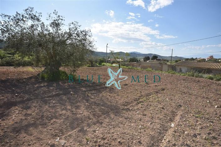 Image No.24-Propriété à vendre à Cartagena