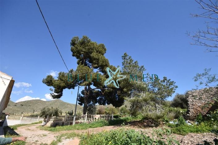 Image No.6-Propriété à vendre à Cartagena