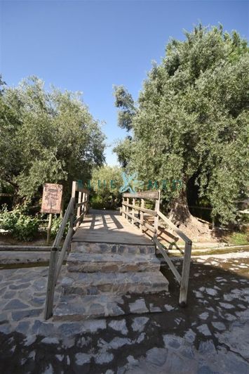 Image No.46-Propriété de 6 chambres à vendre à Zarzadilla de Totana