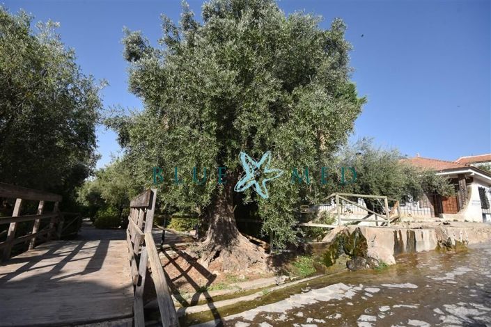 Image No.47-Propriété de 6 chambres à vendre à Zarzadilla de Totana