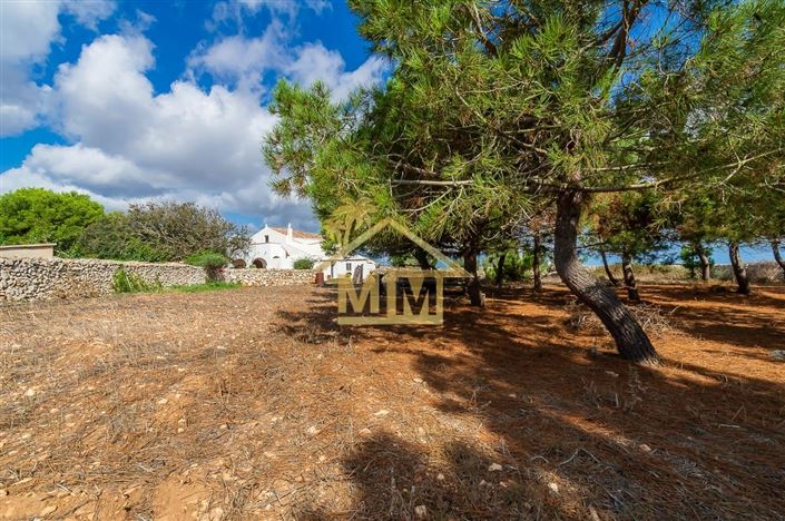 Image No.42-6 Bed Country House for sale