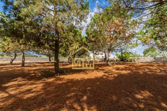 Image No.43-6 Bed Country House for sale