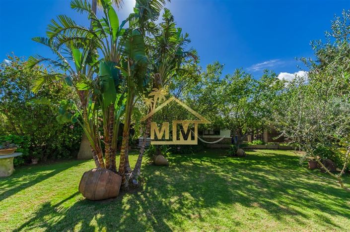 Image No.19-4 Bed Villa for sale