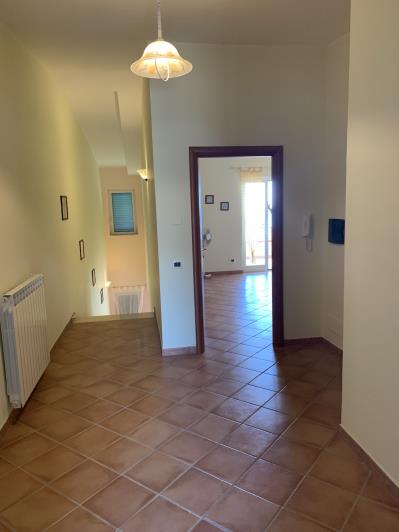 Image No.36-Maison de 3 chambres à vendre à Scalea