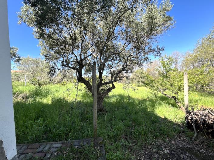 Image No.54-2 Bed Villa / Detached for sale