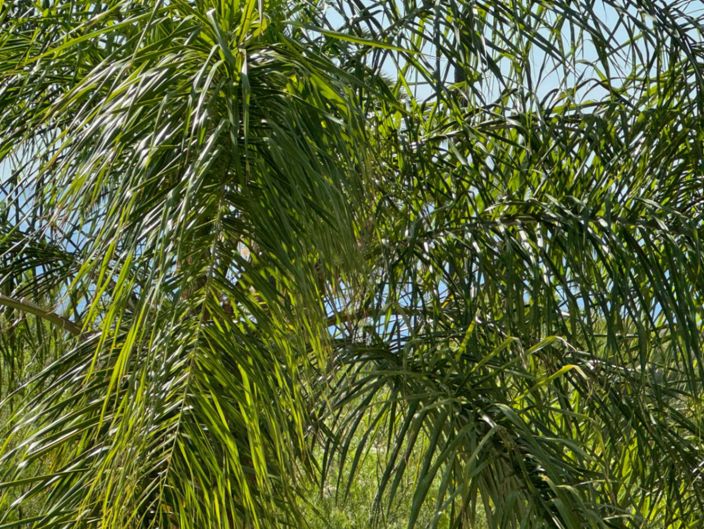 Image No.42-4 Bed Villa for sale