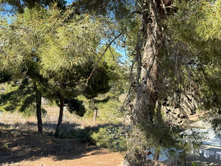 Image No.21-Plot for sale