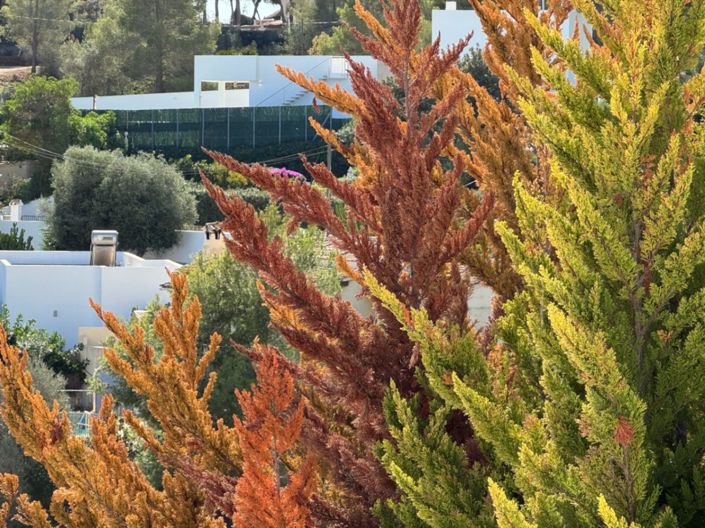 Image No.16-Plot for sale